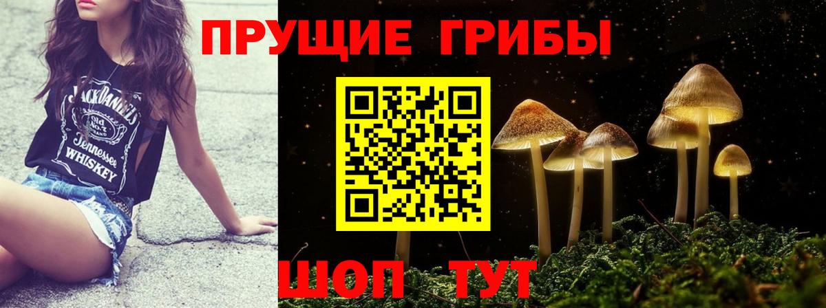 Галлюциногенные грибы прущие грибы  Псилоцибиновые грибы ЛСД  Апрелевка  Вход с VPN 